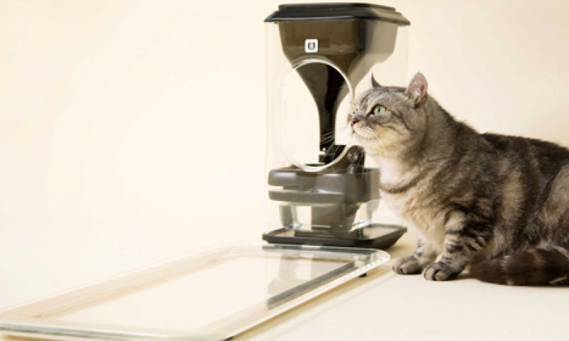 Quantified cat? Voederbak herkent en weegt je kat