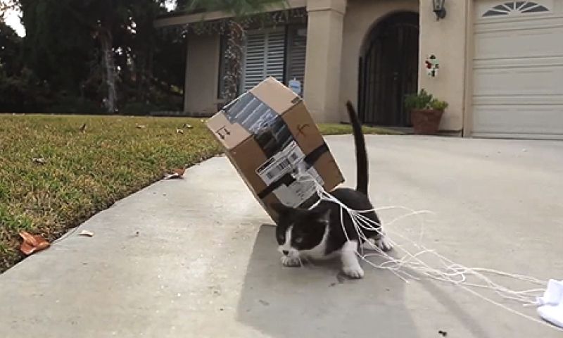 Amazon Prime Rockets