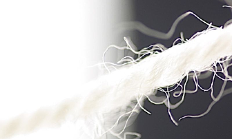 Fotograferend textiel