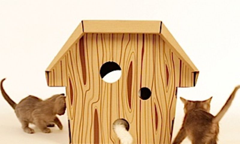 Kartonnen kattenpaleis