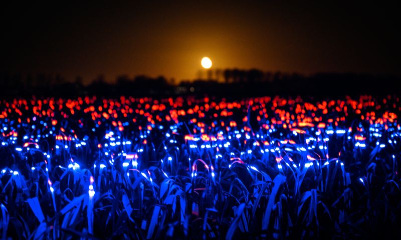 daan roosegaarde glow licht kunst landbouw boeren