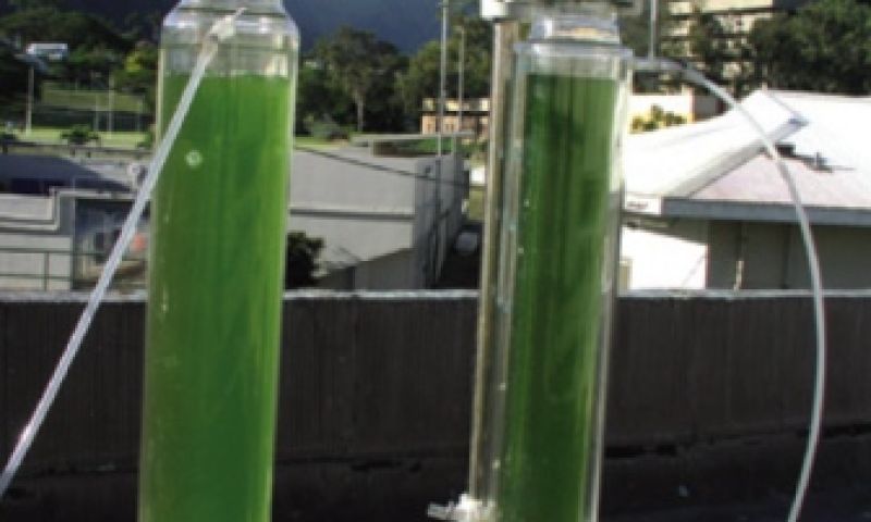 Eerste EU-certificaten biobrandstof