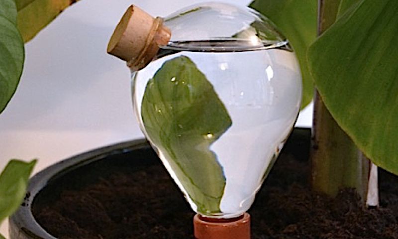 Slim peertje geeft je plantjes water terwijl jij op vakantie bent