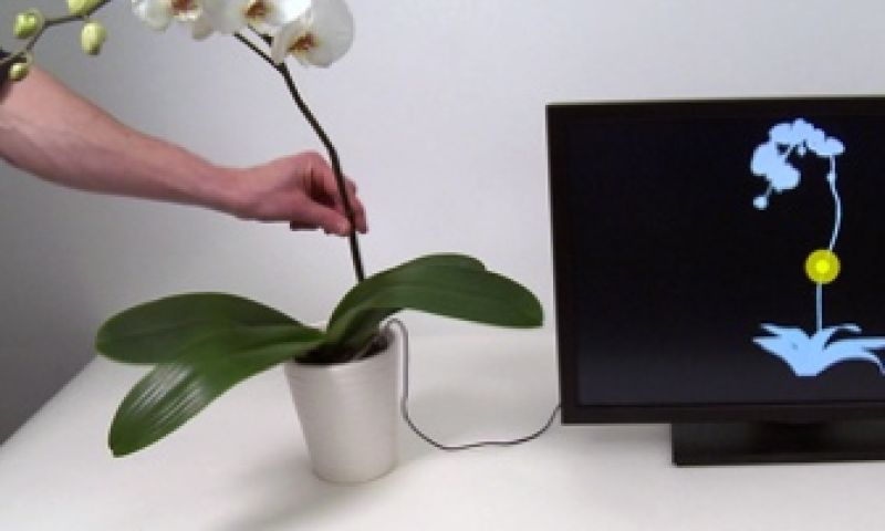 Disney maakt elke plant aanraakgevoelig