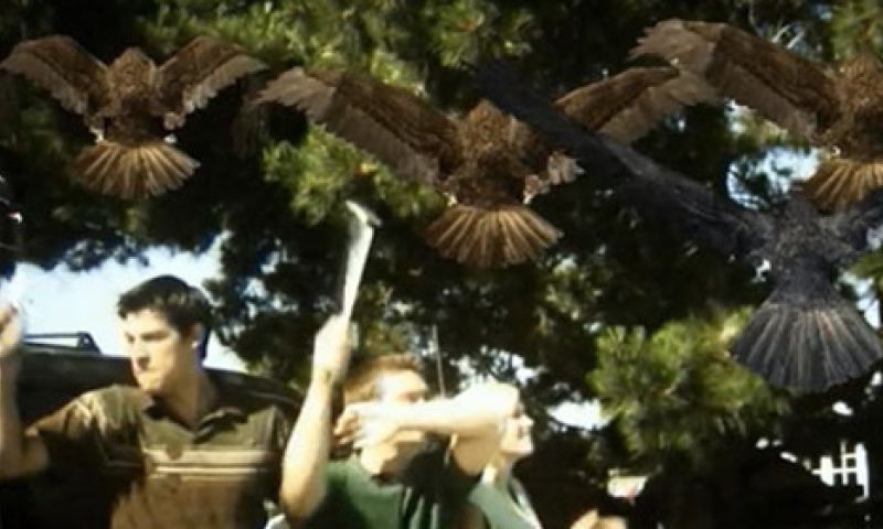 Video: de slechtste special effects uit de filmgeschiedenis