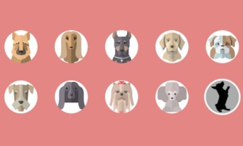 Lekker naar elkaar blaffen met de app-hype Bark