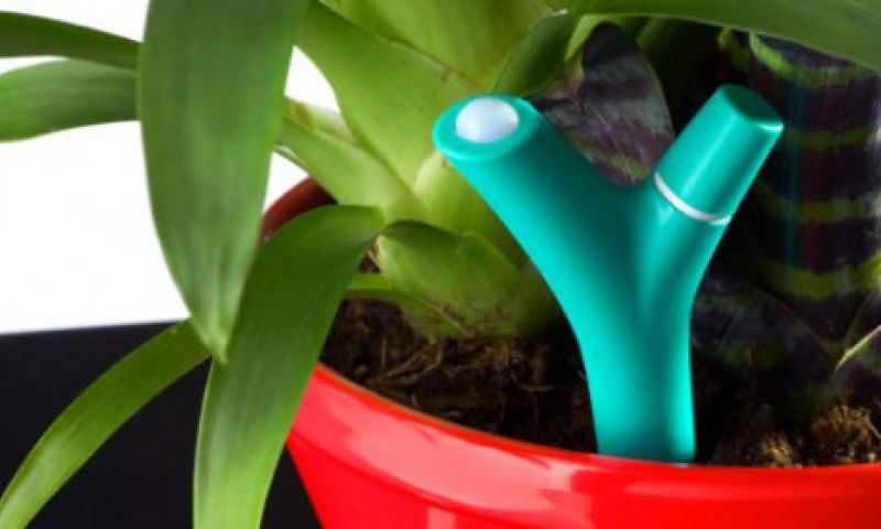 Parrot brengt Bluetooth-plantsensor naar Nederland