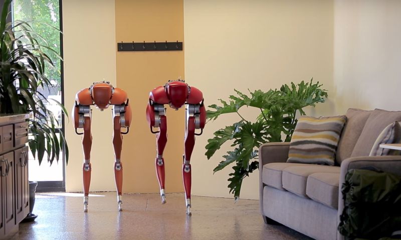 Video: 'struisvogelrobot' Cassie moet hulp in nood bieden
