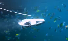 Thumbnail for article: Onderwaterdrone lokt vissen en streamt in 4K