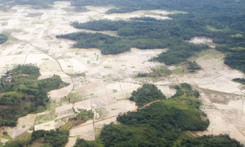Dit bedrijf wil met satellietbeelden ontbossing tegengaan