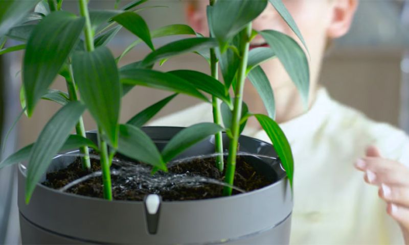 Slimme bloempot geeft je planten water als je op reis bent