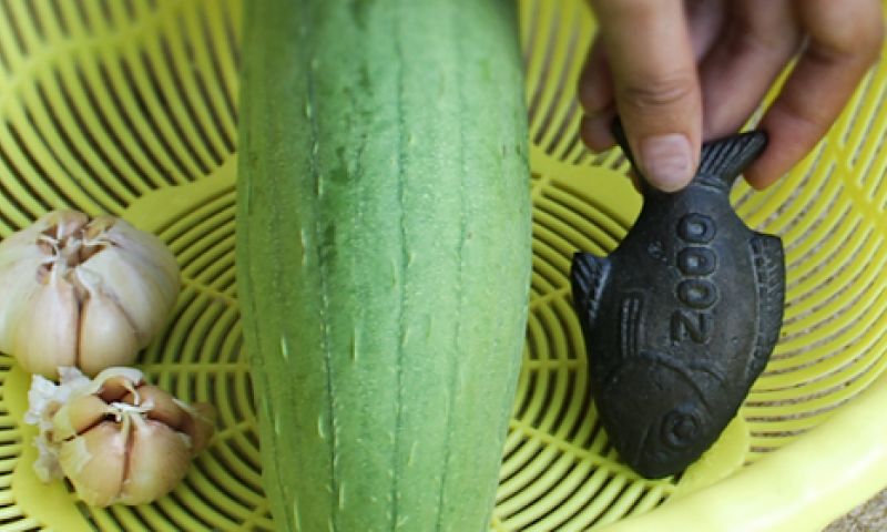 Deze ijzeren vis laat de kracht van design zien