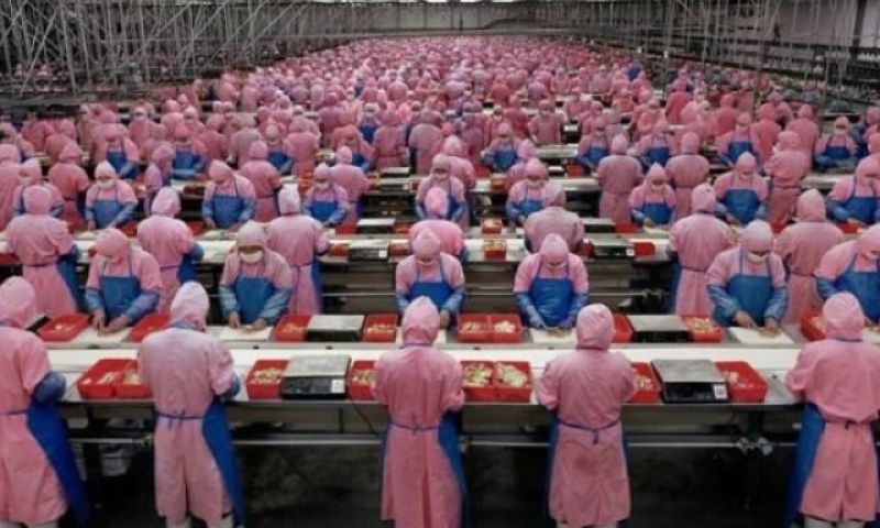 Wat doen medewerkers van de iPhone-fabriek in hun vrije tijd?