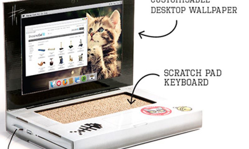 Drie kekke kattengadgets die handig zijn voor de baasjes