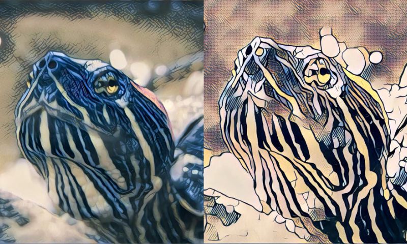 Facebook test kunstfilters in live-video's