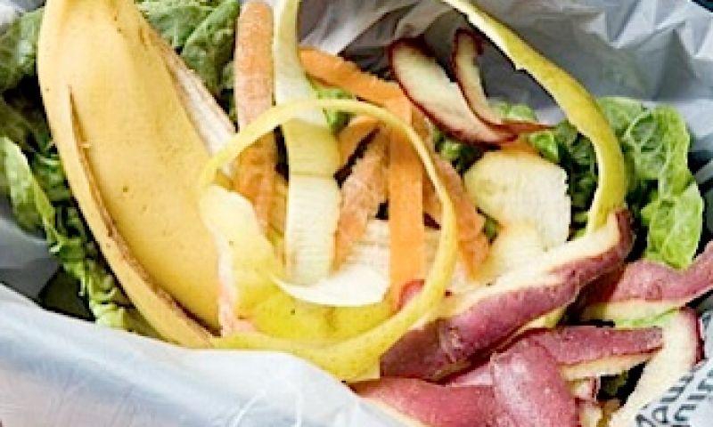 Bacterie produceert bioplastic