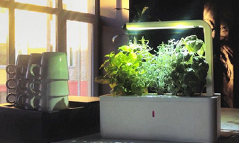 Verse kruiden verbouwen net zo makkelijk als uit een potje