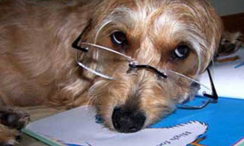 Google deze zomer in e-boekhandel