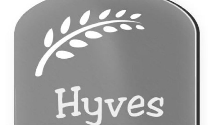 Hyves stopt als sociaal netwerk