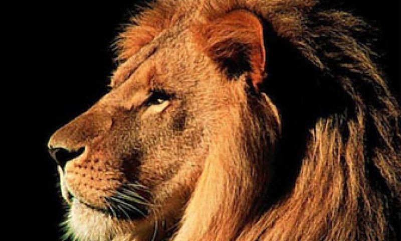 OS X Lion nu ook op usb-stick