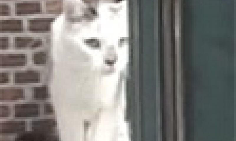 Planet Earth Rotterdam