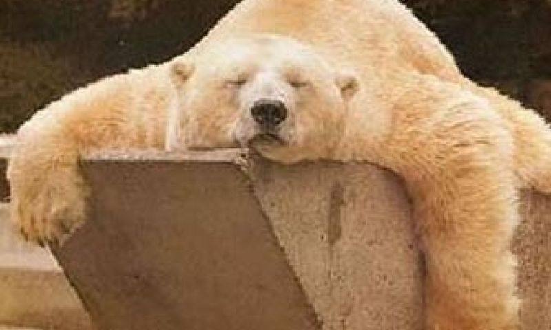 Wanneer slapen Twitteraars?