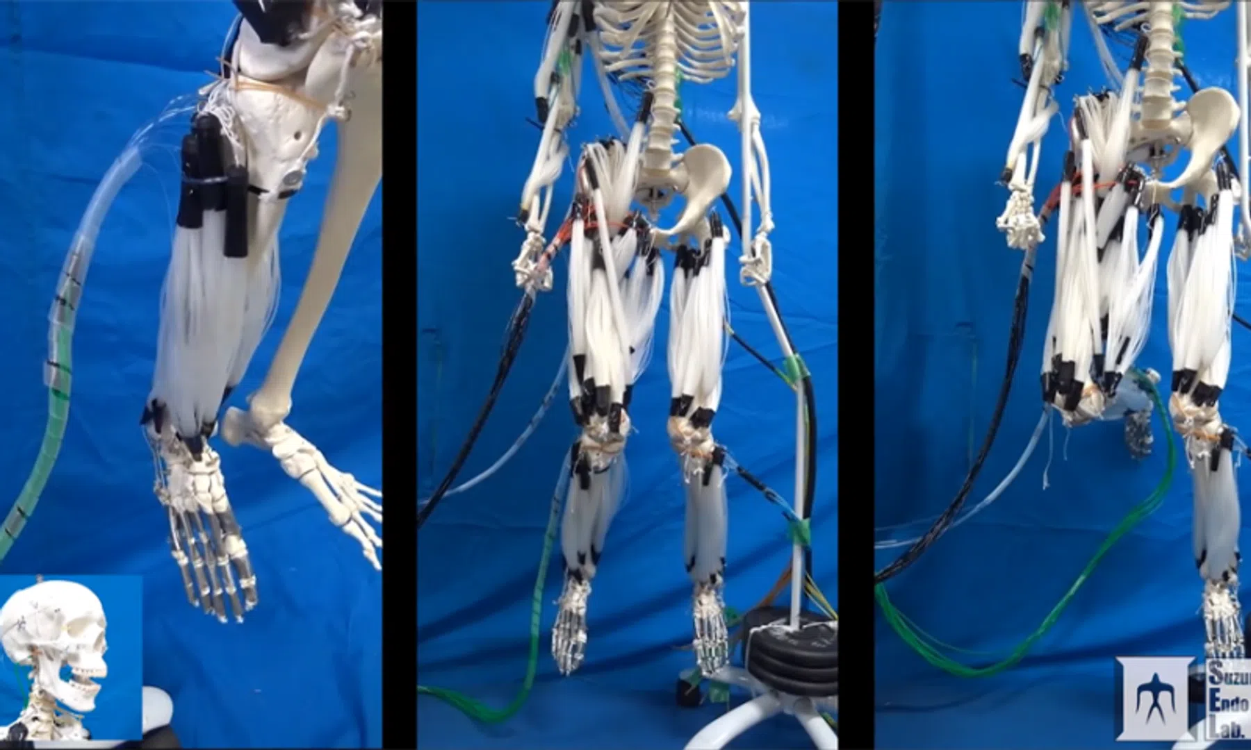 Video van de dag: Levensechte robotspieren