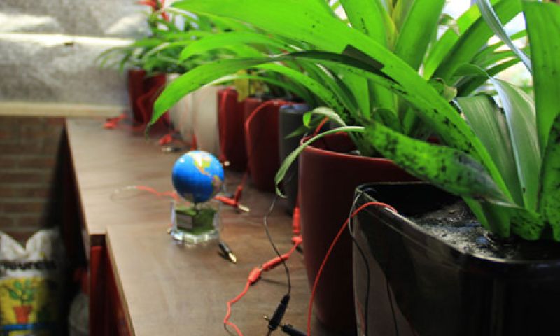 Nederlandse tech-startups in de prijzen bij World Economic Forum