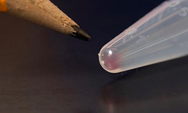 Microsoft wil massaal data in DNA opslaan