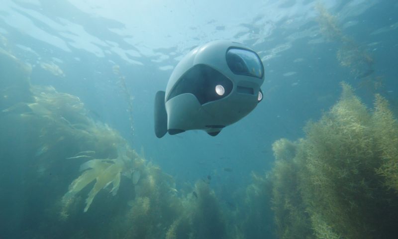 onderwater vis drone