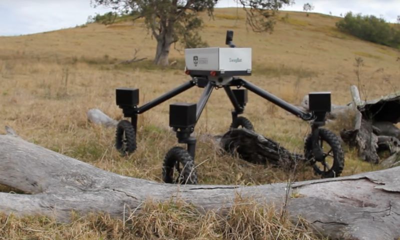 Robot hoedt het vee in Australië