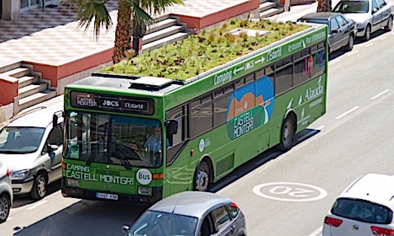 Verse groenten op het dak