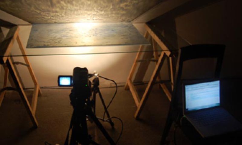 Gekweekte landschapsplaatjes