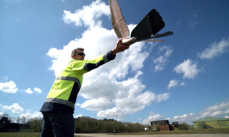 Nederlandse drone-vogel maakt vliegveld vogelvrij