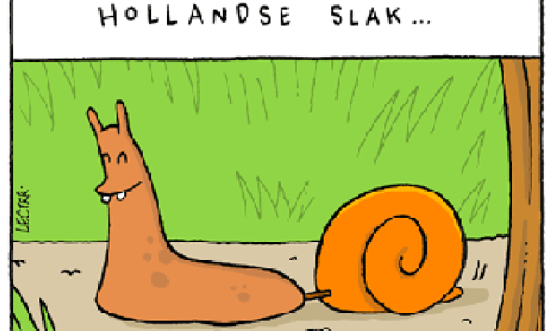 De beste online cartoonist van Nederland