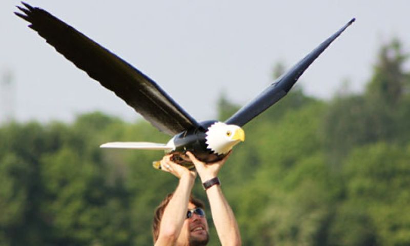 Deze robothavik verjaagt vervelende vogels