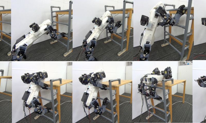 Robothond klimt ladder