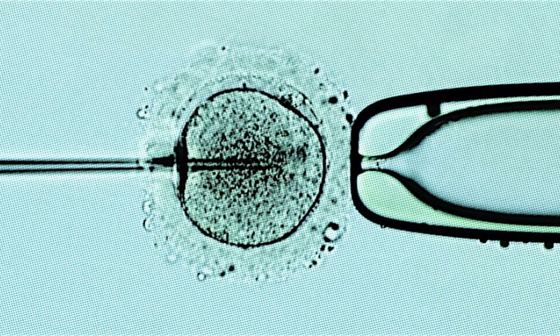 Baby met DNA van drie ouders geboren