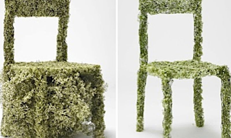 Ontworpen door de natuur