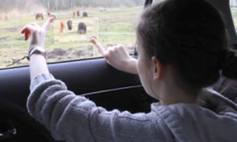 Autovenster op de wereld