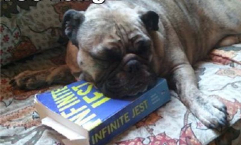 Deze site leest alle gebruiksvoorwaarden (voor jou)