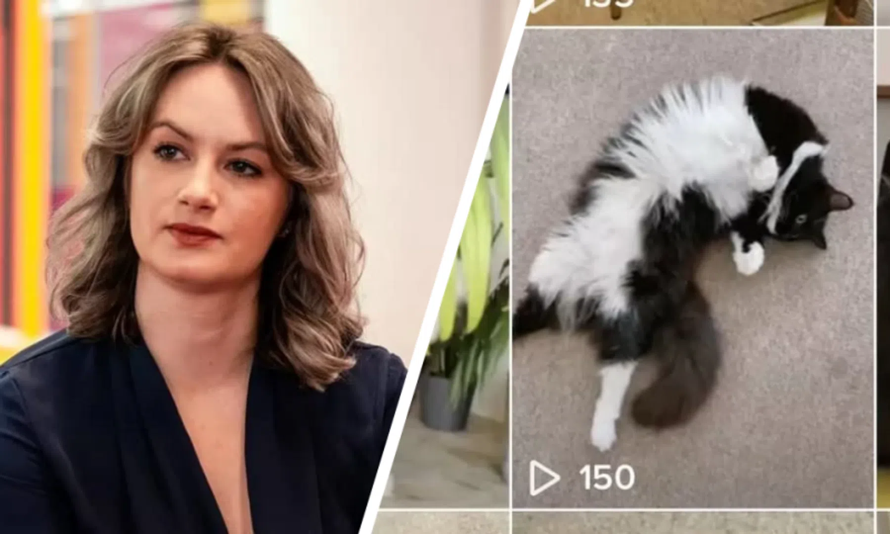 TikTok hield locatie katten-account Britse journalist in de gaten