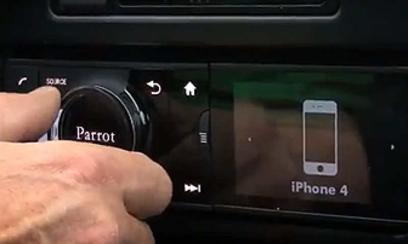 Uitpakpary: Parrot Asteroid