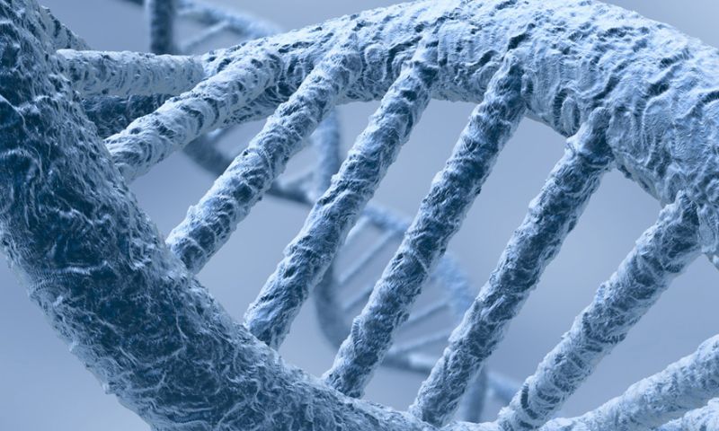 Oeps: Excel veroorzaakt fouten in wetenschappelijk genoom-onderzoek