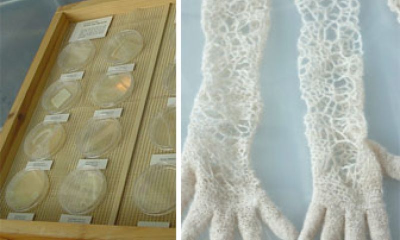 Een trui van microkosmos