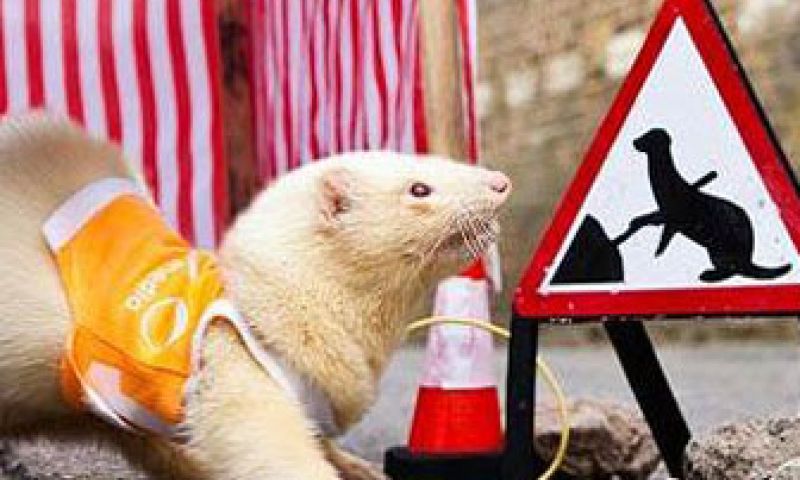 Google verrijkt uranium en Webwereld wordt Chinees