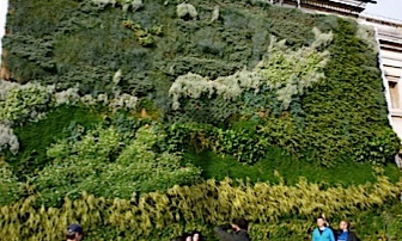 Van Gogh in groen