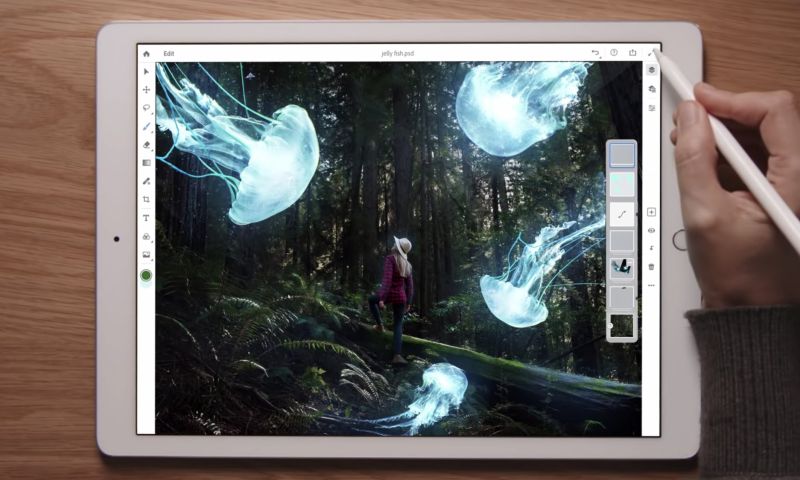 Niet updaten van je Adobe-pakket? Rechtszaak aan je broek
