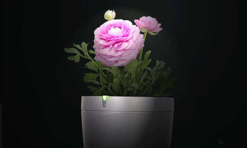 De slimme bloempot komt er dit jaar dan toch echt