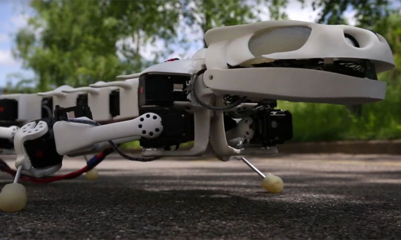 Video: robotsalamander helpt ontwikkeling rugprotheses